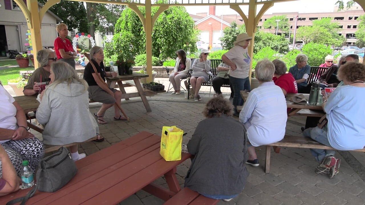 Local gardeners learn how to support pollinators amid population decline